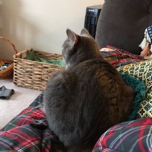 Meet your Posher, Madeline